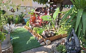 Site Paradis Rue Colibri